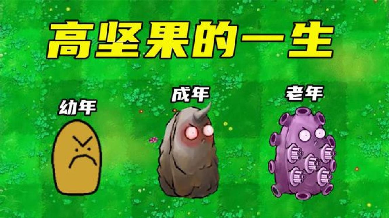 高坚果的一生,老年时候"生病"了?万物皆可植物大战僵尸
