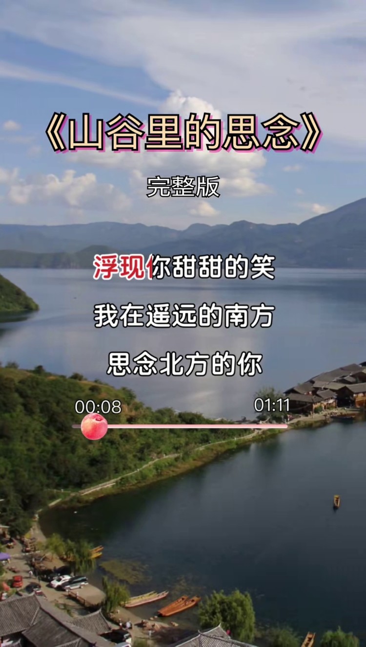 山谷里的思念谢军演唱很好听