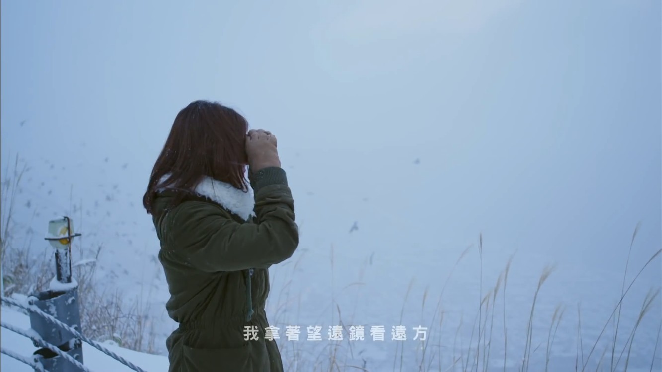 白安《麦田捕手》mv