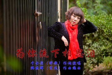 为你流下相思泪(女版ktv)