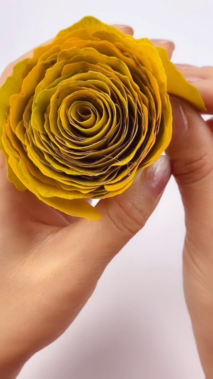 银杏叶子黄了,把它们捡回家做成#银杏叶玫瑰花也特别美.