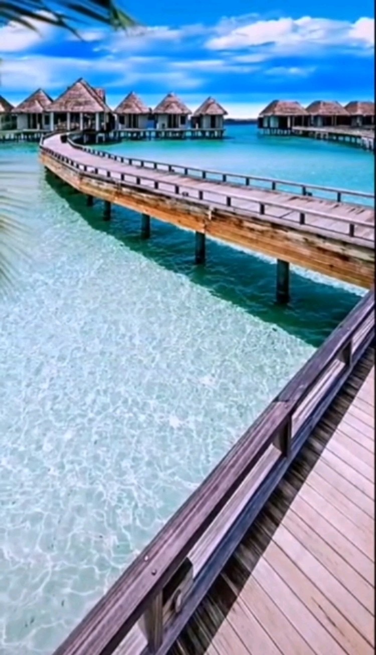  - 梦里梦外不分离