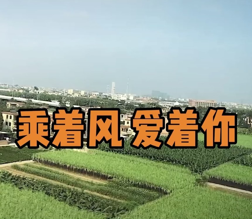  - 周杰伦生日快乐🎂