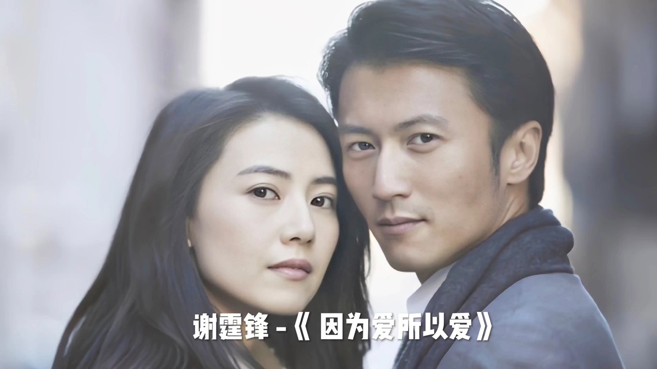 谢霆锋因为爱所以爱