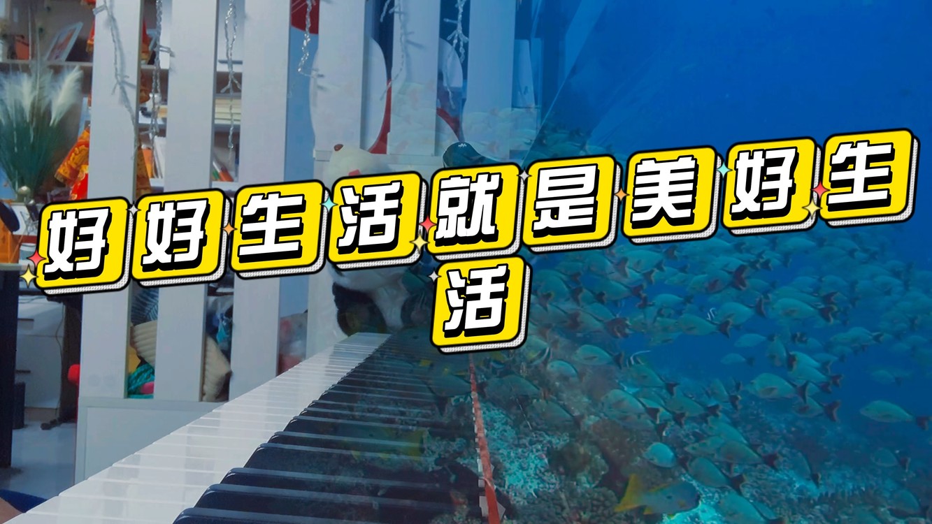  - 《好好生活就是美好生活》钢琴版
