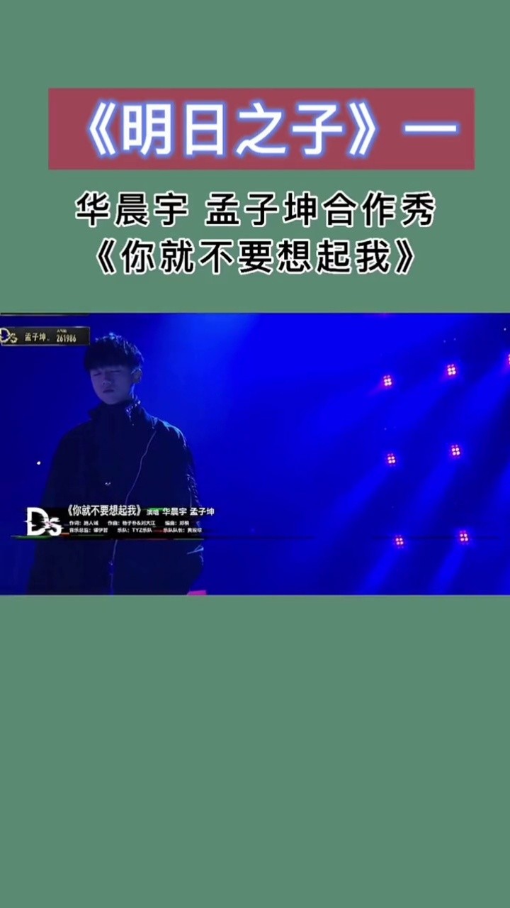 华晨宇/孟子坤《你就不要想起我》歌词版