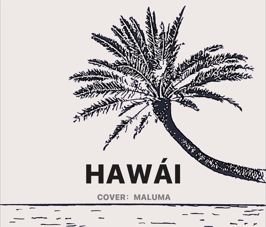  - 翻唱Maluma的Hawái