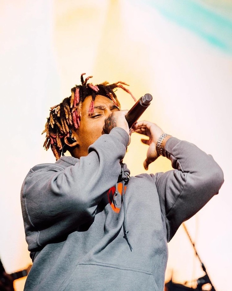 小果汁juice wrld唱 wasted>,小鸡跳萌化了!