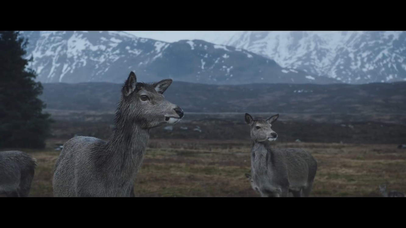  - Emilie Nicolas - Pstereo (Official Video)