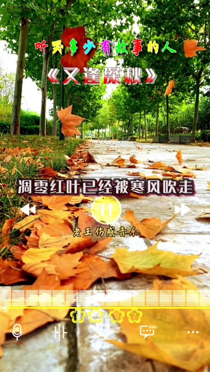 伤感音乐  #又逢深秋 #听哭了都是有故事的人 @dou 上热门