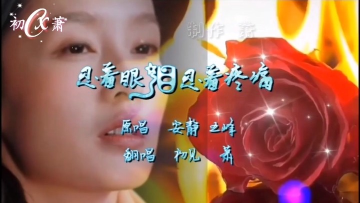  - 忍着眼泪忍着疼痛   原唱 安静/王峰翻唱 初见/萧