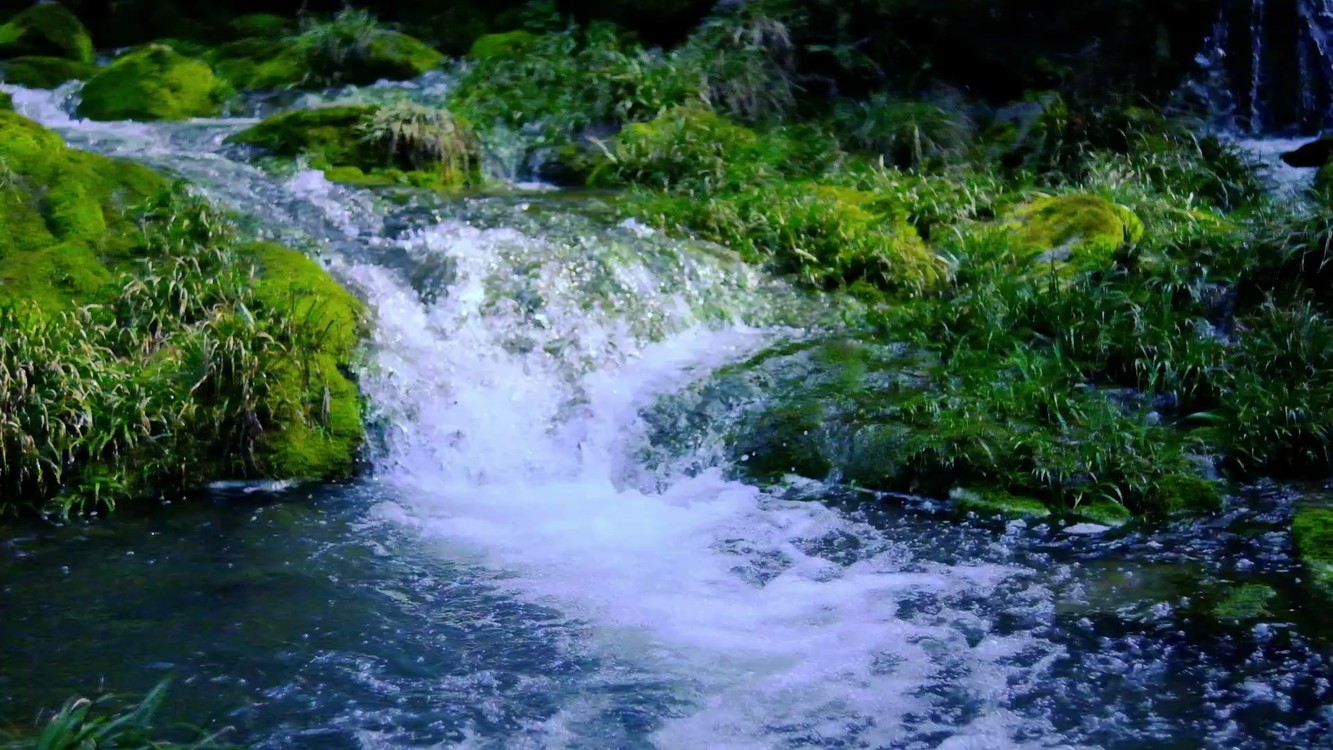 - 《大自然流水声》纯音乐