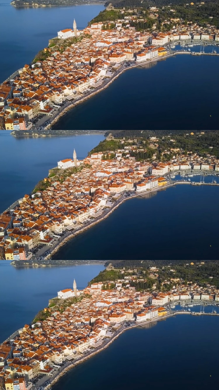  - 【非酋】 首席执行官小七