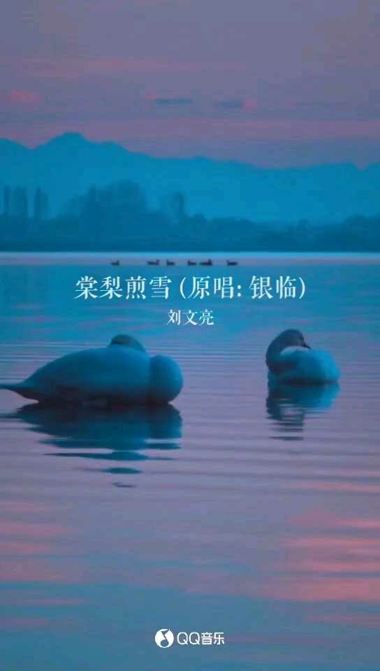 - 棠梨煎雪(片段)