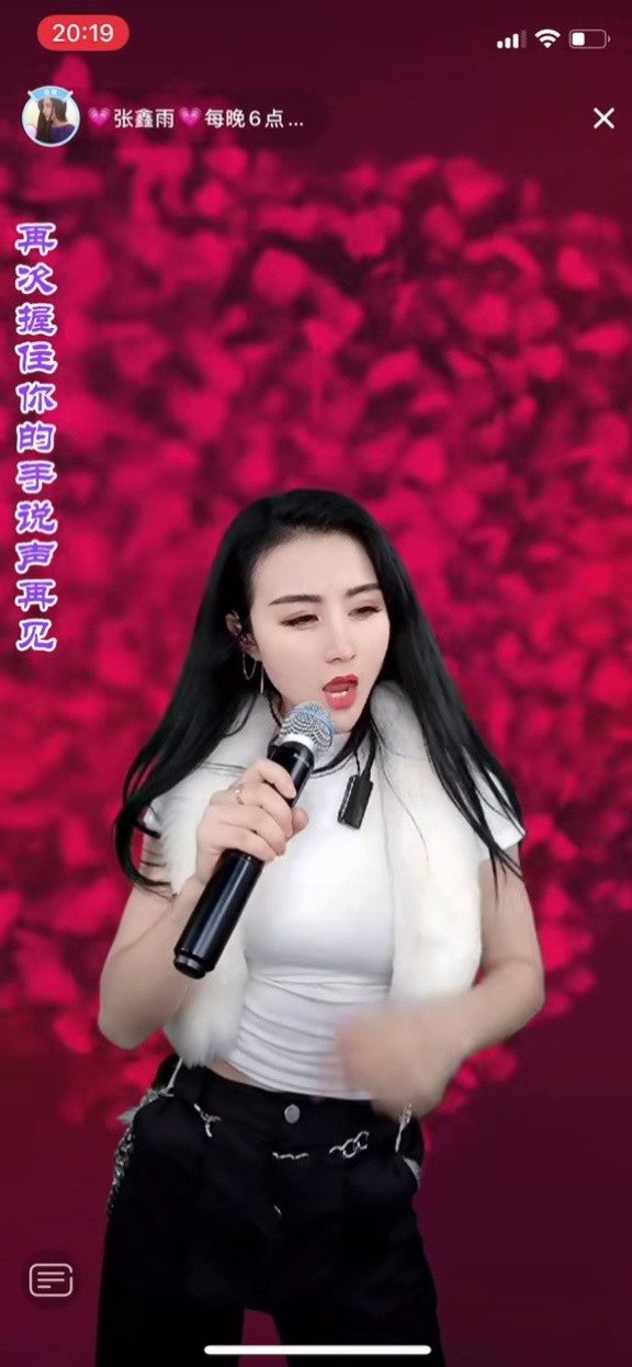 张鑫雨|歌手 《你在他乡还好吗》 #灵魂歌者  #百听不厌  #实力派歌手