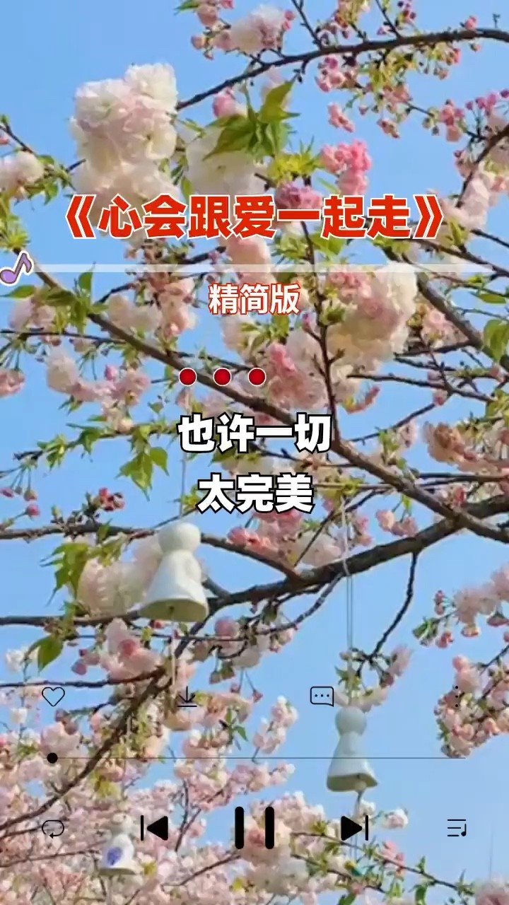 心会跟爱一起走