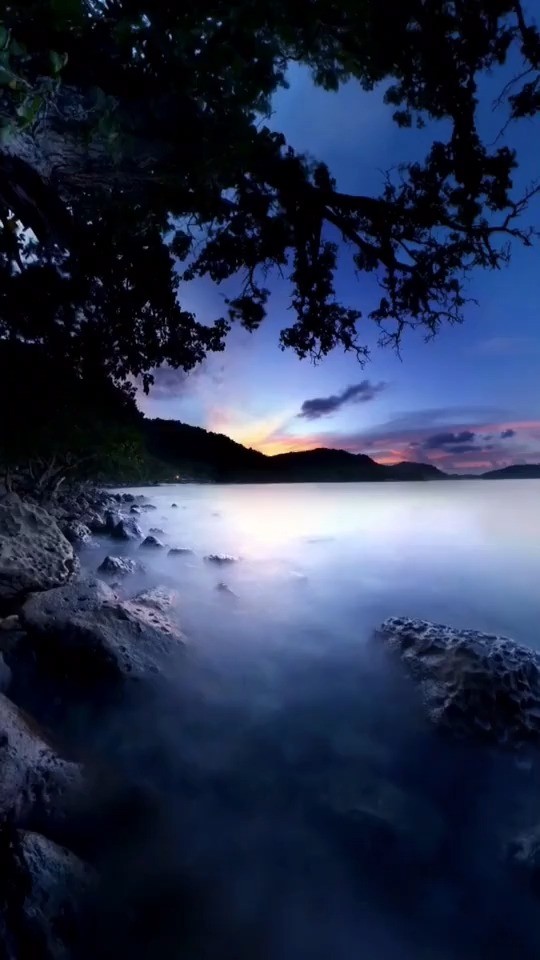  - 天未亮，暮霭沉沉，潮湿在弥漫