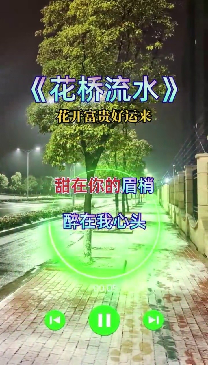 花桥流水经典舞适合初学者稳固基本步