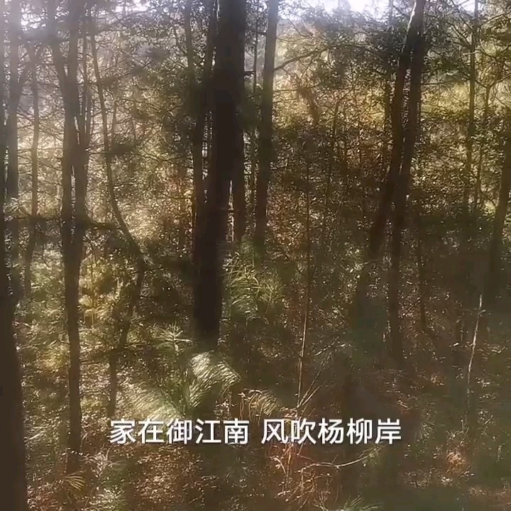  - 家在御江南