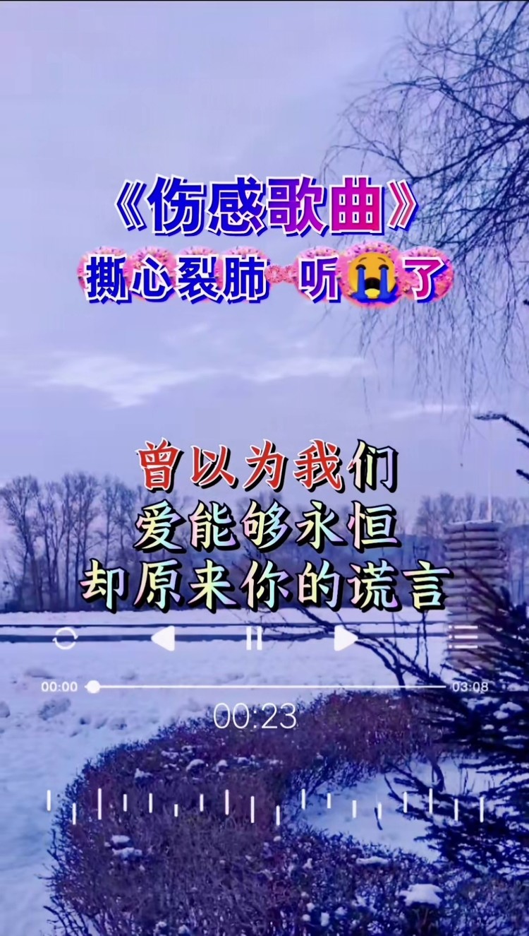 伤感歌曲 #送给痴情男人们的一首歌  #下辈子不做女人 #完整版#这