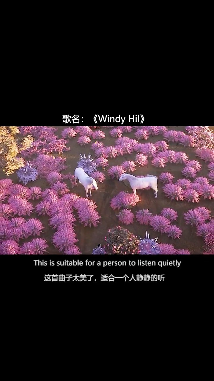 windyhill羽肿简介图片