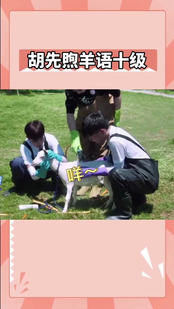  - 胡先煦羊语十级