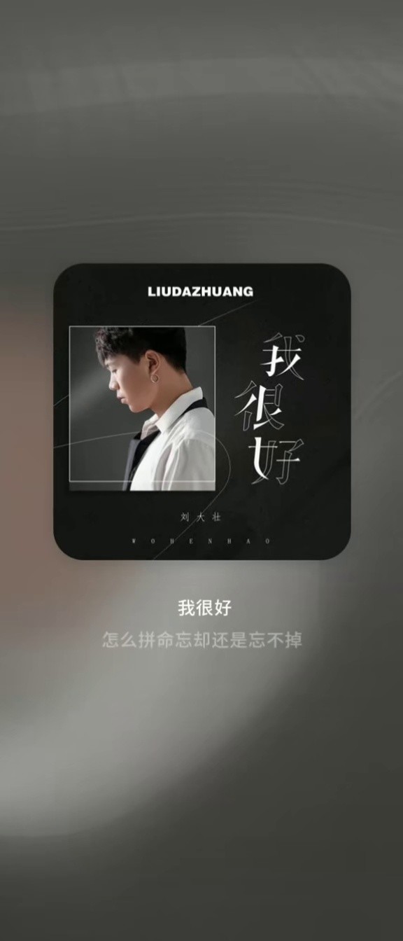 我很好(dj版)-刘大壮