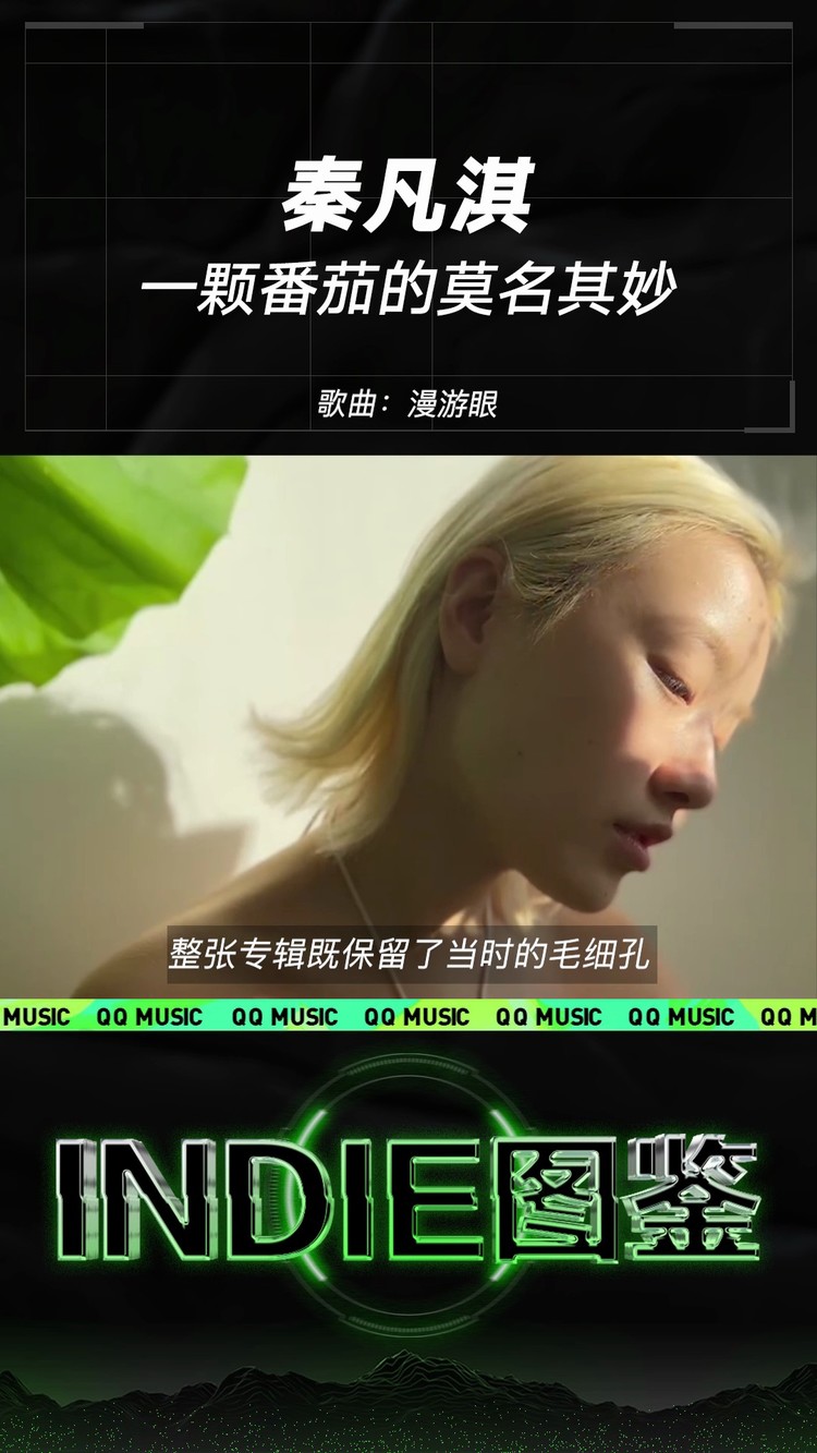 - INDIE图鉴｜秦凡淇 - 一颗番茄的莫名其妙