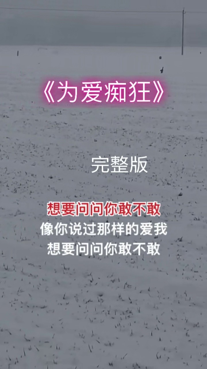 为爱痴狂刘若英