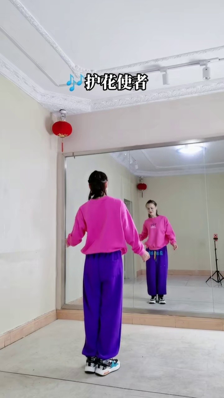 护花使者 #护花使者舞蹈 #背面演示完整版 全网都在做家务,擦玻璃拉 