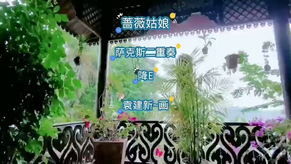 《蔷薇姑娘》