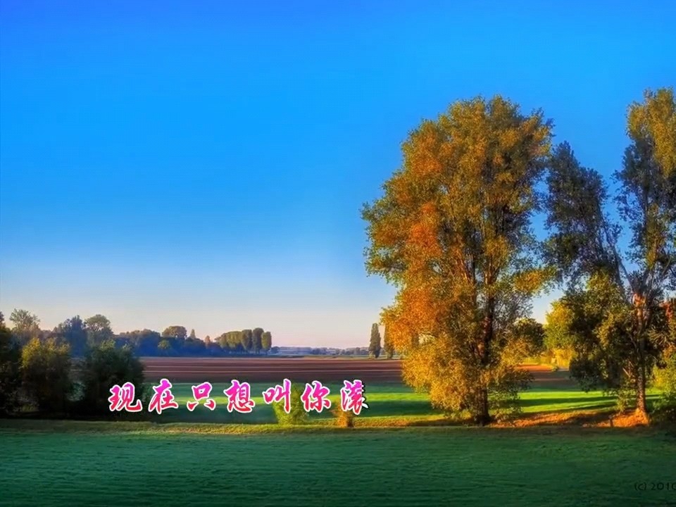  - 你为什么要对我这么狠