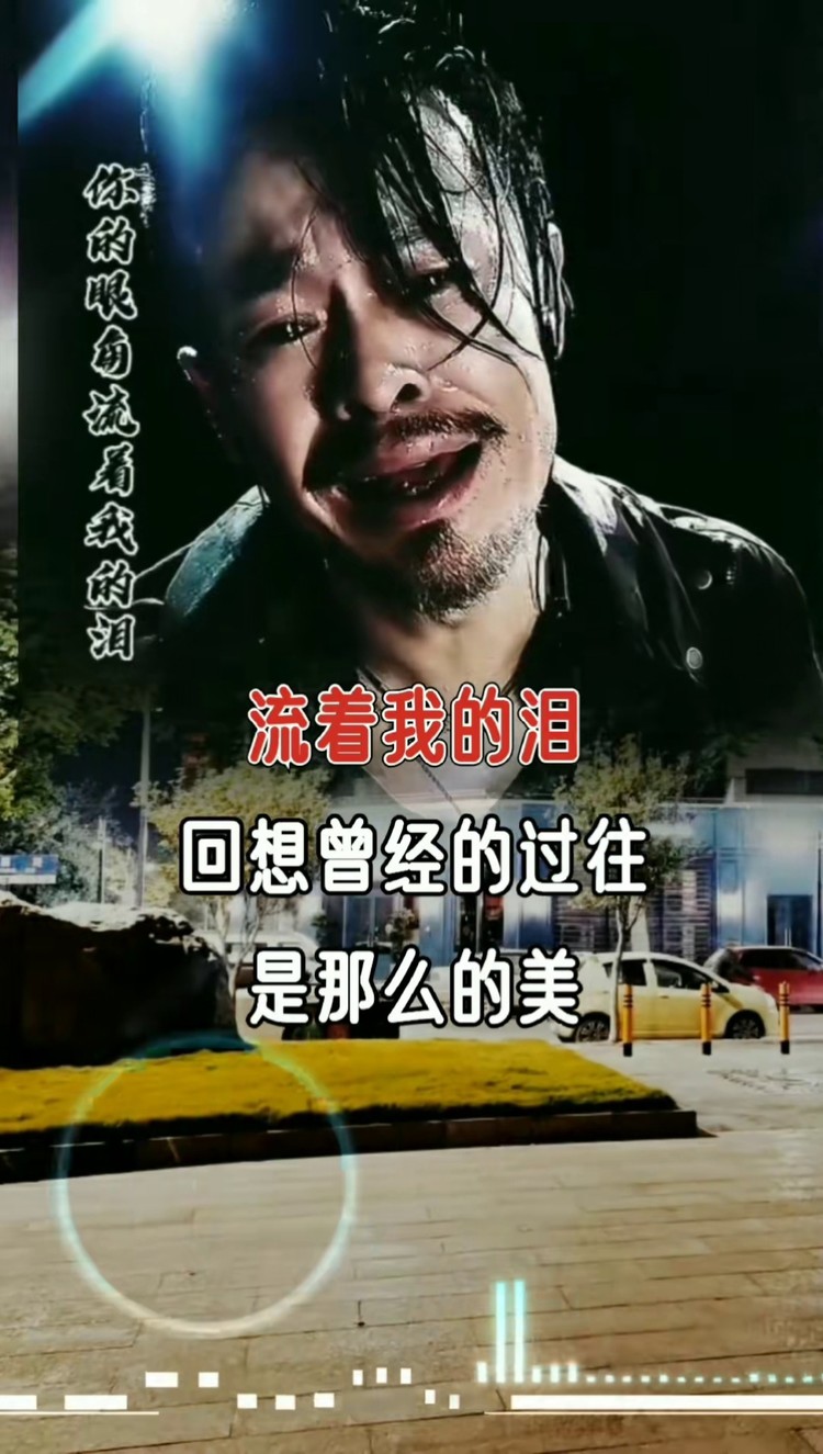 一首你的眼角流着我的泪多少痴情泪多少蚀骨痛都在风中