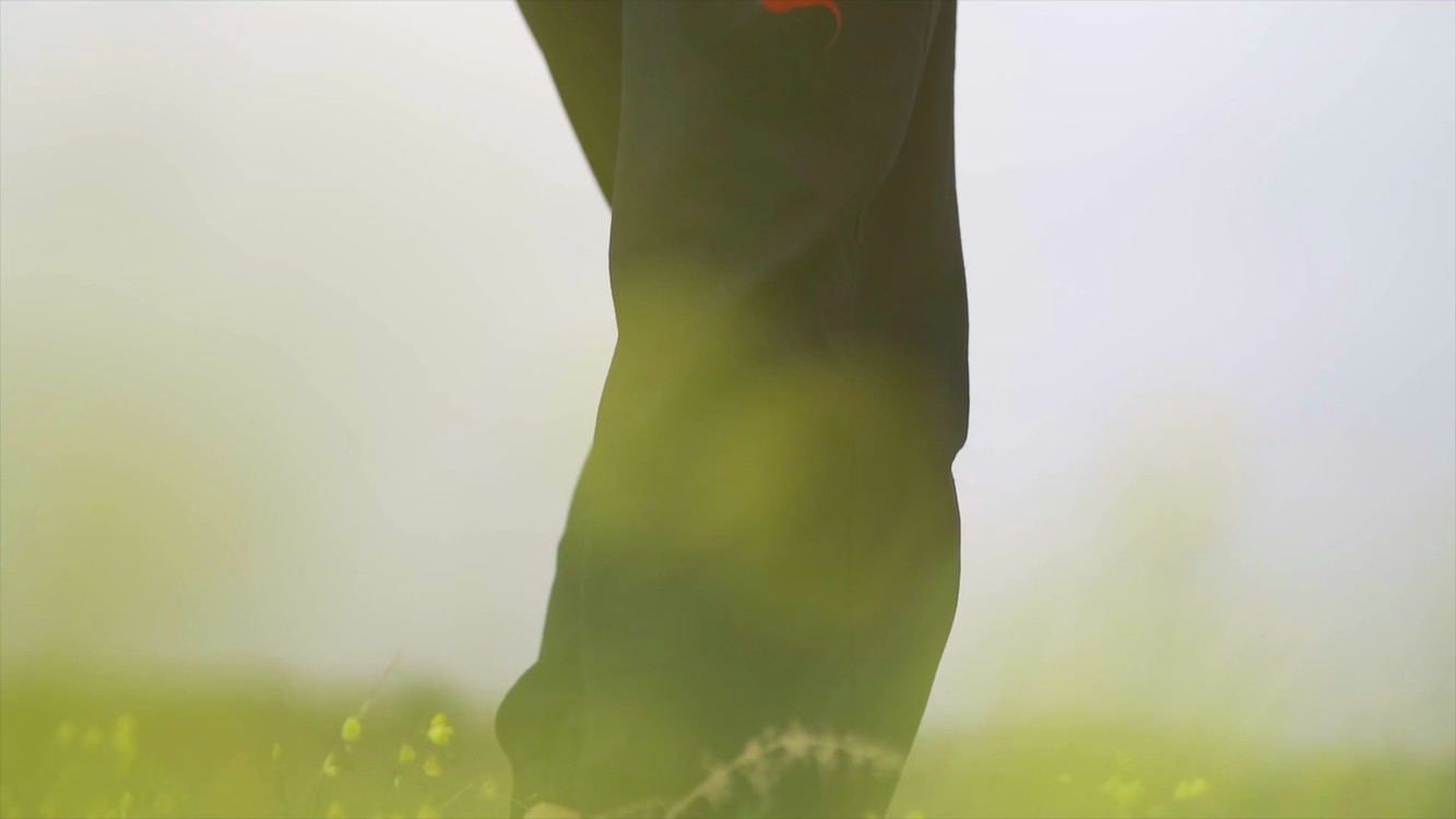 - 闫辽艳-你的山丹丹花MV