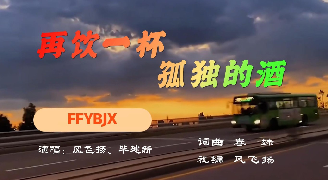  - 再饮一杯孤独的酒（风飞扬  毕建新）