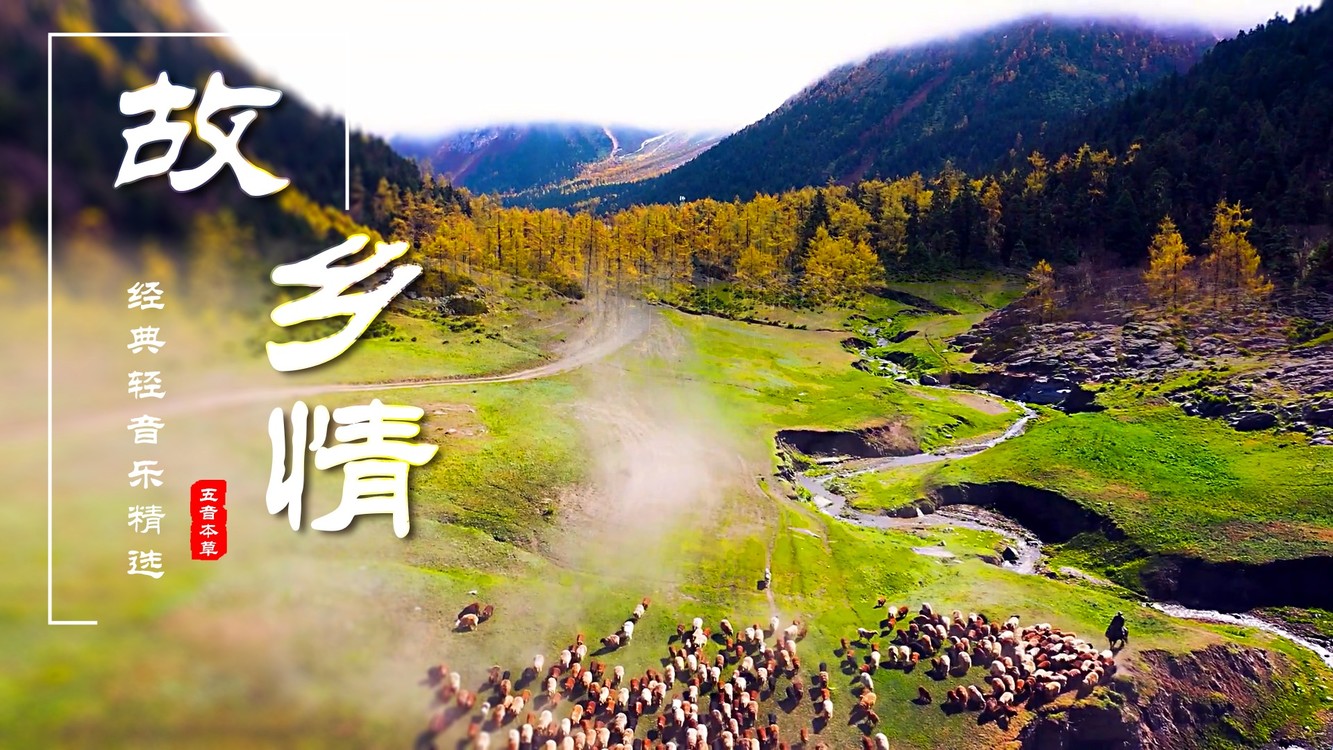 怀旧经典《故乡情》马头琴古筝奏,万水千山,故乡情怀