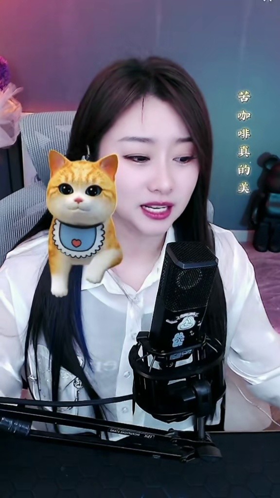 菲儿激情演唱经典老歌林中鸟dj版唱歌林中鸟dj菲儿