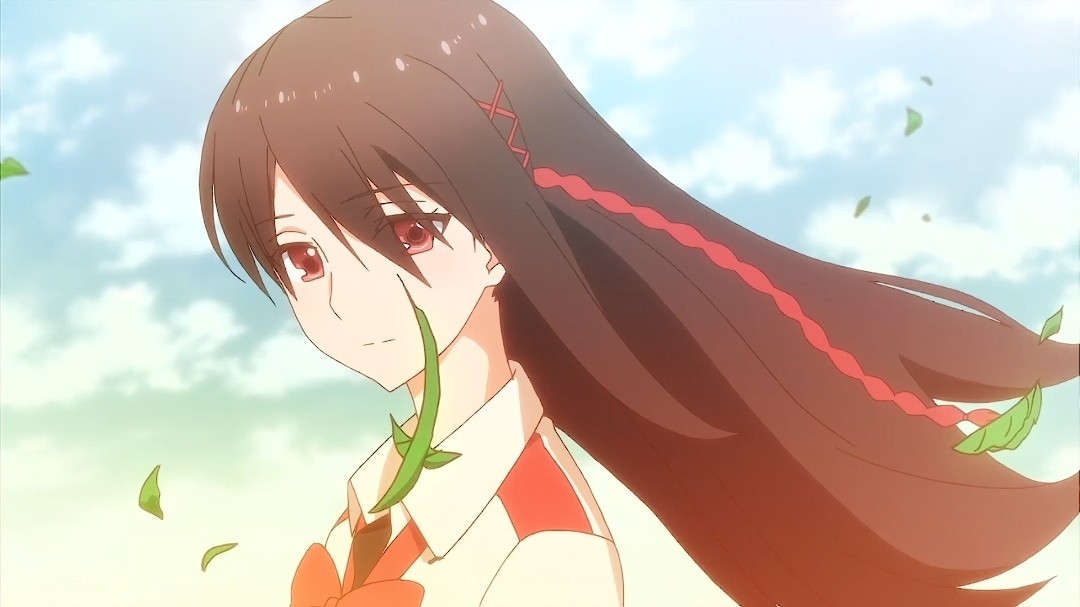 一夜爆火白月光与朱砂痣一听就入迷单曲循环一整天