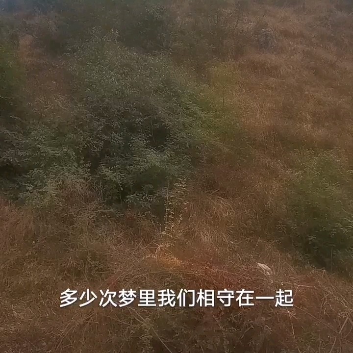 - 远方的我在等着你