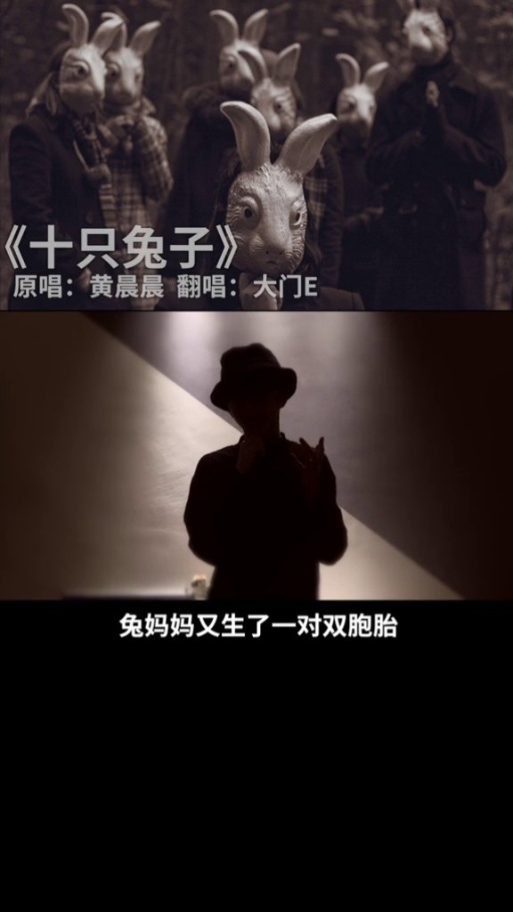 你看懂了吗十只兔子热歌热门分享