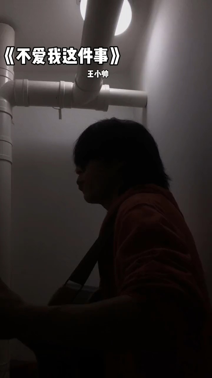 - 王小帅《不爱我这件事》