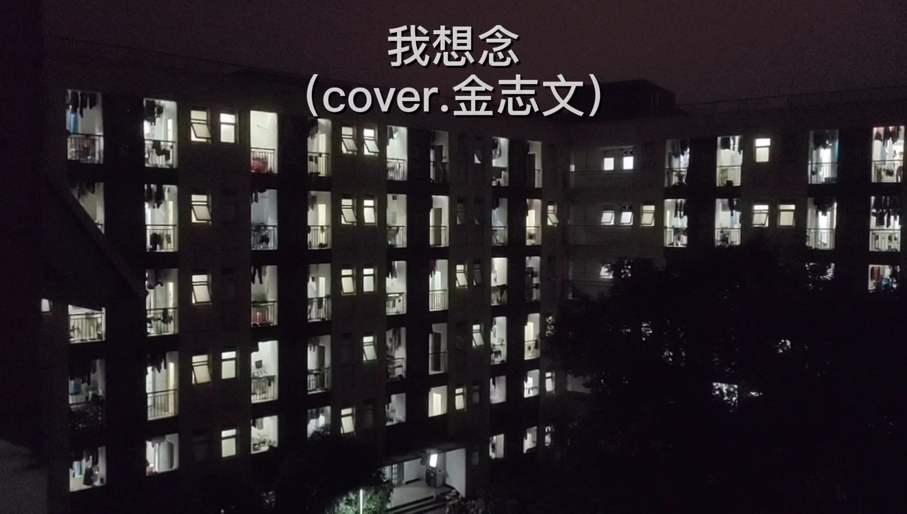  - 我想念（cover.金志文）