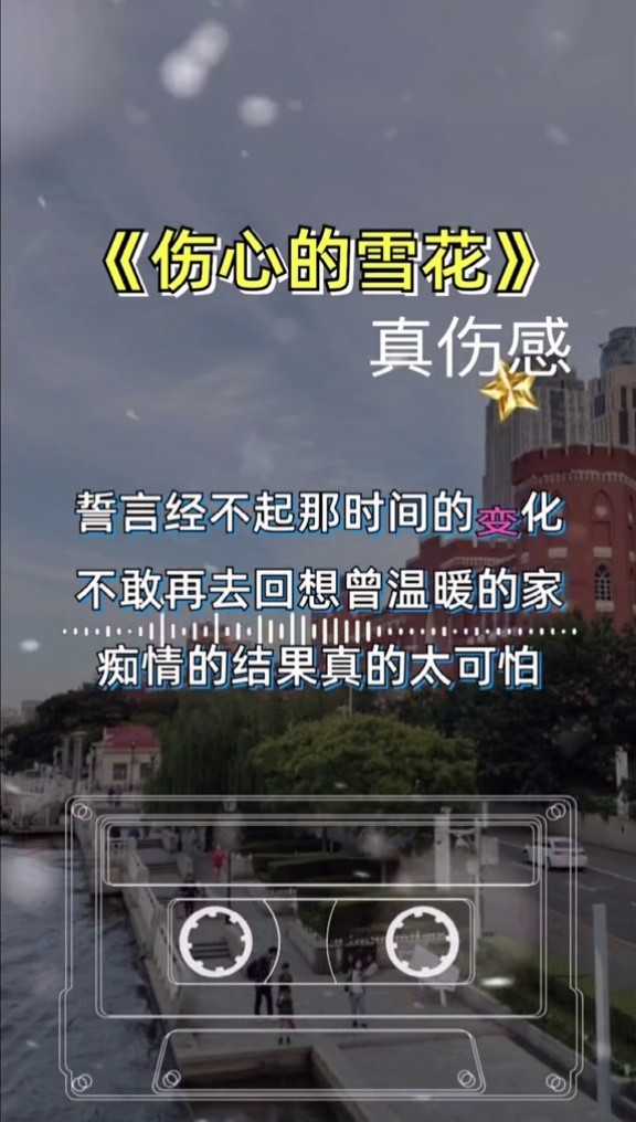 伤心的雪花