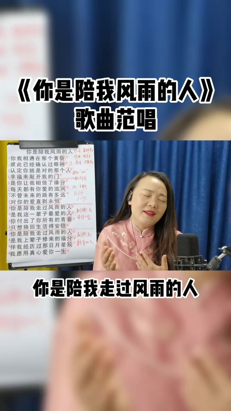 你是陪我风雨的人 #经典老歌