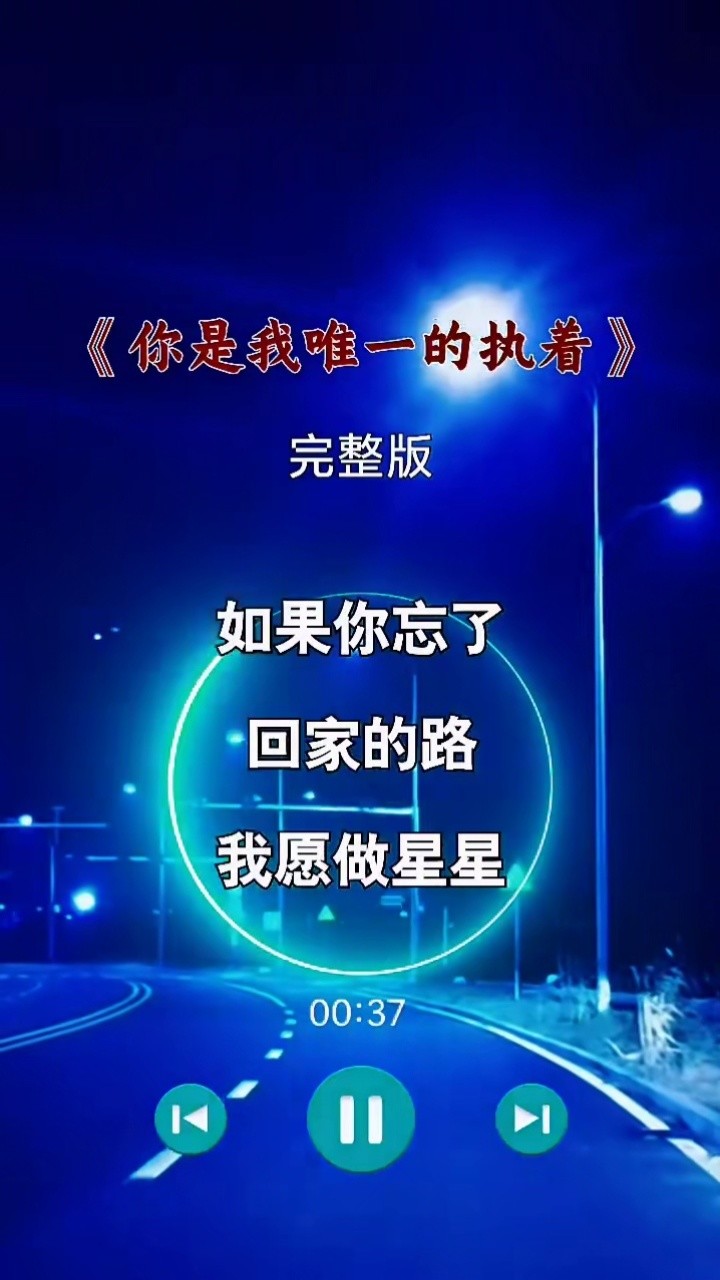 你是我唯一的执着 #伤感音乐 #完整版