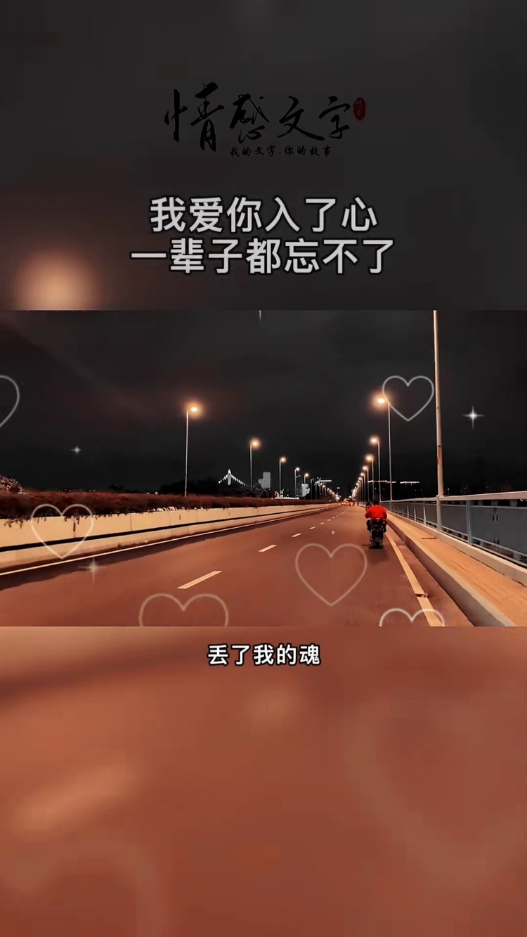 我爱你入了心,一辈子都忘不了,我对你动了情,一辈子都放不下,爱你虽然