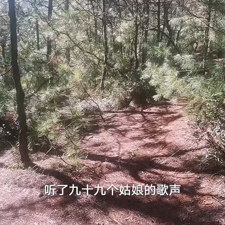  - 留客歌