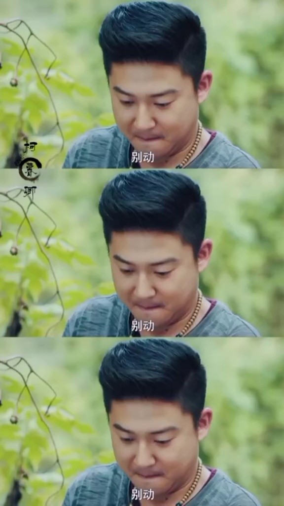 王胖子 #吴邪 #张起灵 胖子:就挺无语的,是我错付了……?