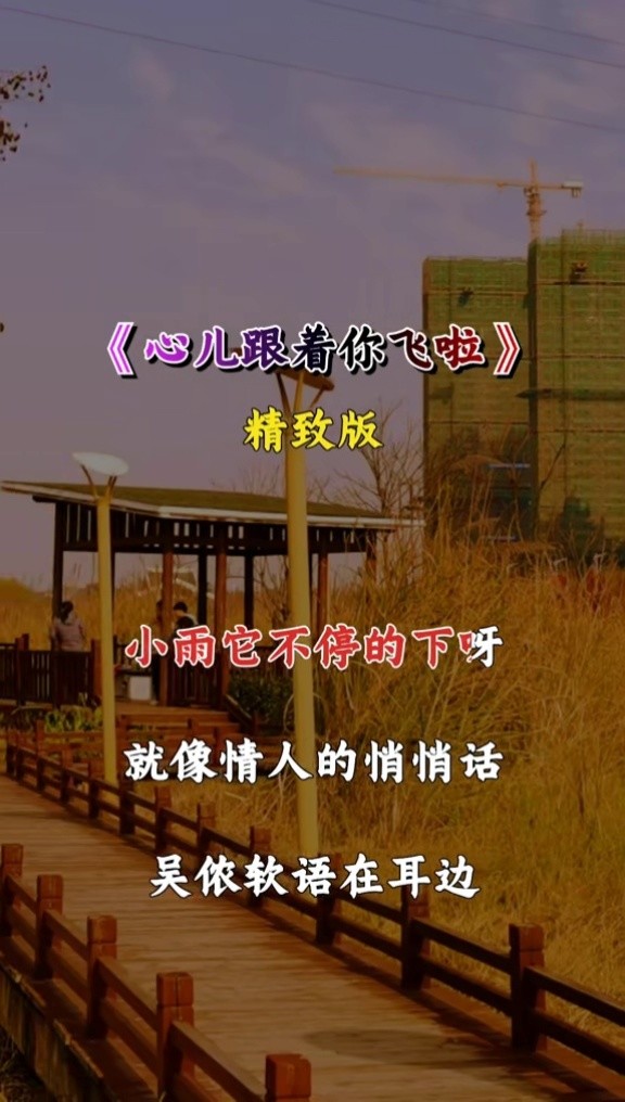 小雨它不停的下呀,就像情人的悄悄话#心儿跟着你飞啦