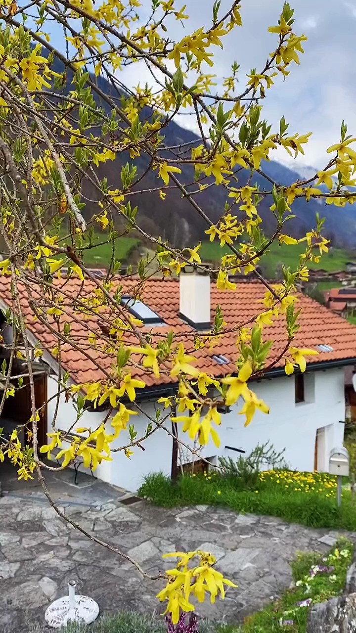  - 最好的旅行，就是在陌生的地方